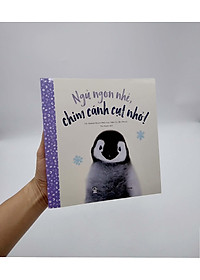 product-img-2