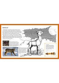 Sách Fantastic Beasts: The Wonder of Nature (Amazing Animals and the Magical Creatures of Harry Potter and Fantastic Beasts) (Paperback)