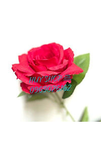 product-img-5