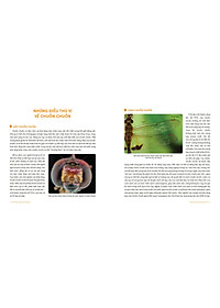 product-img-8