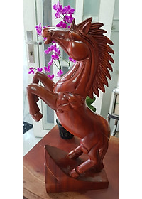 product-img-5