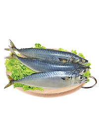 product-img-10
