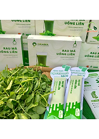Rau Má Uống Liền Sấy Lạnh Nguyên Chất Hộp Ko Đường (3g*15 gói)  - Mát gan, detox, giảm mụn, giảm cân, giải nhiệt