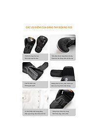 Găng Tay Boxing Chính Hãng FED