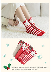 product-img-8