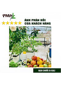 Combo Phân Đậu Nành Soymic V - Dịch Chuối Cho Rau Sạch