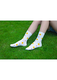 product-img-2