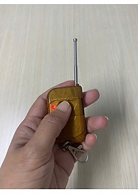 Remote AB điều khiển đóng mở cửa từ xa cho khóa cổng điện tử - Hàng nhập khẩu
