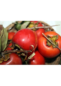 product-img-5