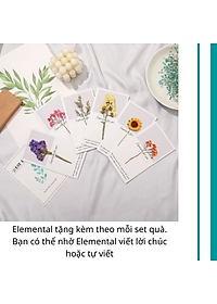 [Quà tặng cao cấp-Thương hiệu Mỹ] Set hộp quà tặng Sinh nhật, set Thanh Xuân, bình giữ nhiệt và ly giữ nhiệt Elemental cao cấp