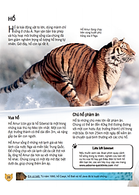 Sách Bách Khoa Tri Thức Về Khám Phá Thế Giới Cho Trẻ Em - Các Loài Mèo Lớn (Tái Bản 2018)