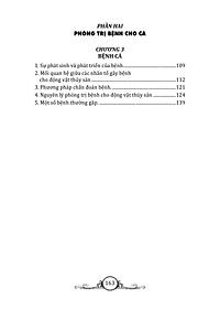 product-img-11