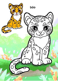 product-img-4