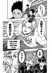 ハイキュー!! 15 - HAIKYU-! ! 15