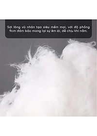 product-img-8