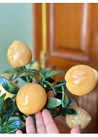 product-img-7
