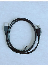 DÂY NGUỒN 2 ĐẦU USB ĐỰC DÀI 1M 