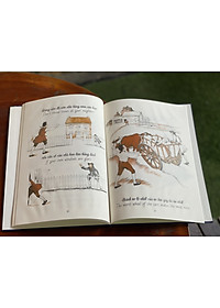 product-img-4