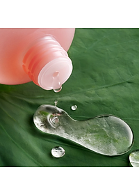 Nước Tẩy Trang Sen Hậu Giang Sạch Bụi Siêu Mịn PM1.0, Có Prebiotics Dịu Êm Cho Da Rất Nhạy Cảm Cocoon 140ml