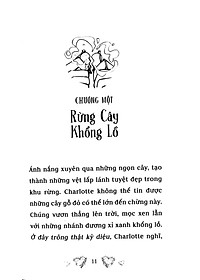 Sách Những Nàng Công Chúa Bí Ẩn - Bữa Tiệc Ngủ Ánh Sao (Tập 3)