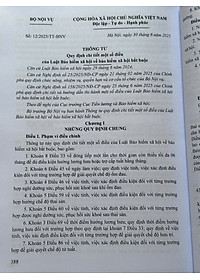 product-img-11