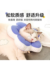 product-img-21