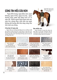 Sách Bách Khoa Tri Thức Về Khám Phá Thế Giới Cho Trẻ Em - Horses And Ponies - Loài Ngựa