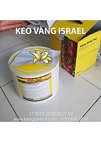 product-img-11