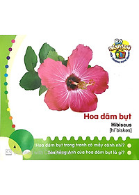 Sách Bé Nhận Biết Môi Trường Xung Quanh - Hoa