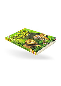 product-img-4