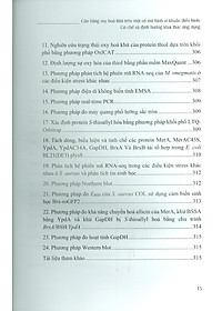 product-img-12