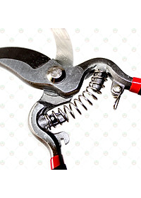 [Nhanh Gọn] Kéo Cắt Tỉa Cành Cây Lưỡi Cong KhoNCC Hàng Chính Hãng - Giúp Việc Cắt Hiệu Quả Hơn - KLVQ-KCTCC