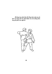 Bình Định Chân Truyền (Bộ 3 Tập)