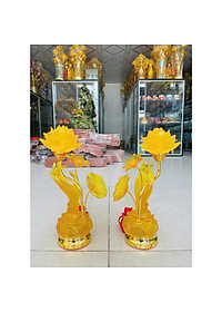 product-img-2