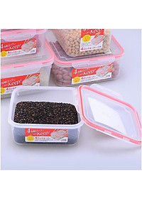 Combo 4 hộp nhựa chữ nhật bảo quản thực phẩm Inomata (Full size) - Có khóa nắp 4 chiều