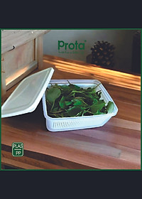 Combo 2 Hộp Thực Phẩm Prota PT961