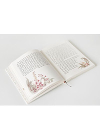product-img-5