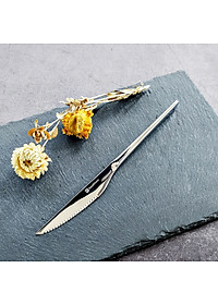 Bộ dụng cụ bàn ăn dao thìa nĩa Inox 304 DandiHome cao cấp