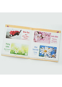 product-img-8