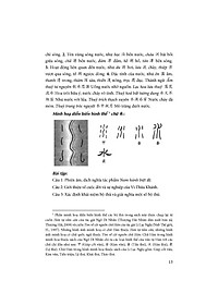 product-img-13