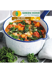 Hạt Giống Cải Xoăn Kale Greenhome, Gói 5g, Dễ Trồng Quanh Năm, Nảy Mầm Cao, Thu Hoạch Nhanh, Năng Suất Cao R16