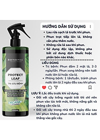 product-img-4