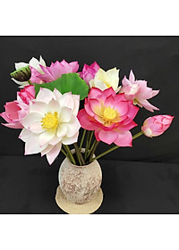 product-img-0