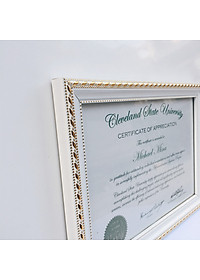 Combo 5 khung ảnh bằng khen  hoa văn A3,A4 - Khung ảnh treo tường kèm đinh tiện lợi