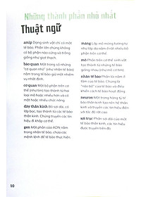 Sách Cơ Thể Người - Trong 30 Giây