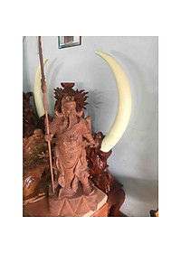 product-img-2