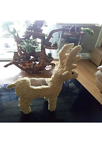 product-img-11
