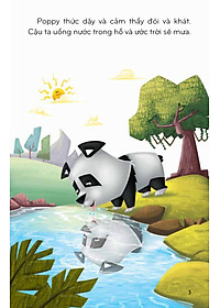 Thế Giới Tuyệt Vời Của Động Vật - Gấu Trúc Và Chim Công