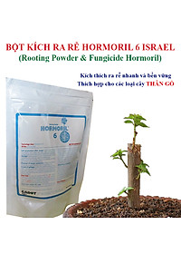 Bột Kích Ra Rễ Israel cho cây Thân Gỗ Hormoril 6, kích thích ra rễ nhanh, sử dụng giâm, chiết các loại cây thân cứng như cây hoa hồng, hoa giấy
