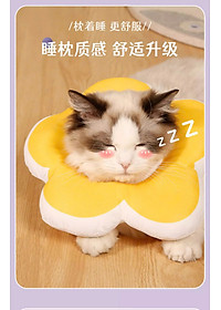 product-img-16